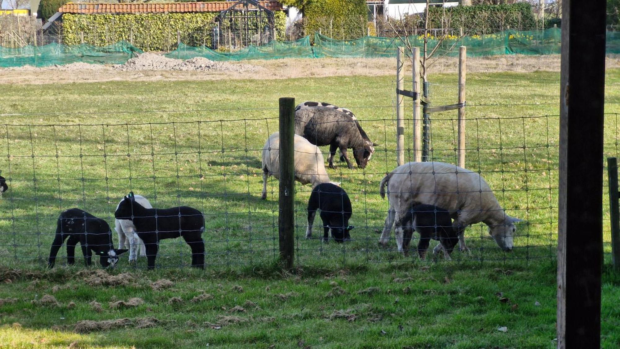 Hemmer Hoeve Exterior foto